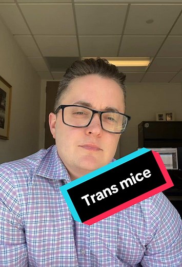 “If they have to trans every single mice to cure the Alzheimer’s, I guess I’ll be a man then”. #transgenic #transgenicmice #transman #ftmtrans #transmice
