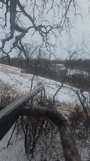 peaceful day muzzleloader hunting in mn #hunting #deer