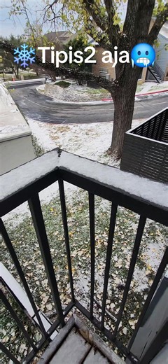 A_Tjan🇲🇨🇺🇲 (@andrika_tjan)’s videos with Ingin memeluk dirimu Dorman manik - Dorman Manik & Rany Simbolon