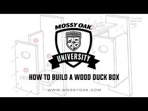 How to build a wood duck box