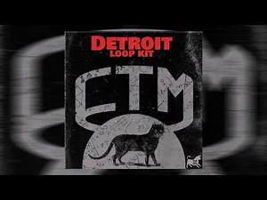 FREE [20+] Detroit Loop Kit by Shondonbeats Sample Pack 2023 - Babytron Rio Da Yung Og Rmc Mike