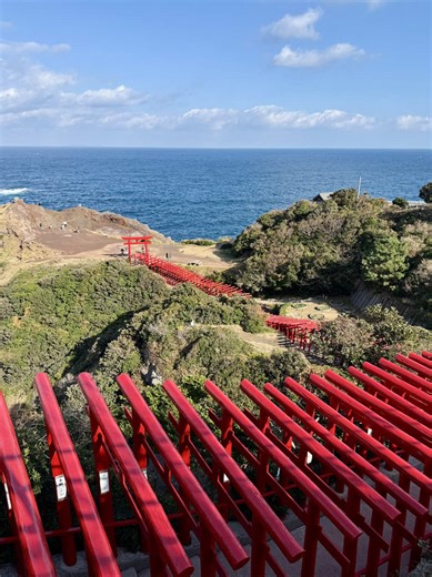 Bits & bobs from Japan 🇯🇵🎋⛩️ #japantravel #fyp #japantiktok #junkjournal #japanthings