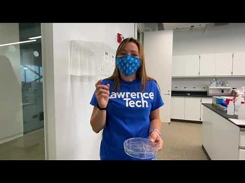 Biomedical Engineering Labs Tour