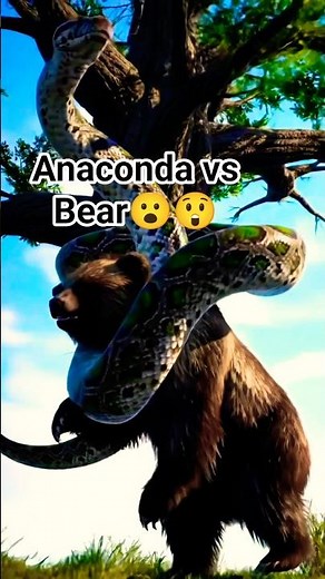 The anaconda vs The bear. 😲😮 #anaconda #shorts #snake #snakevideo #wildlife #jungle