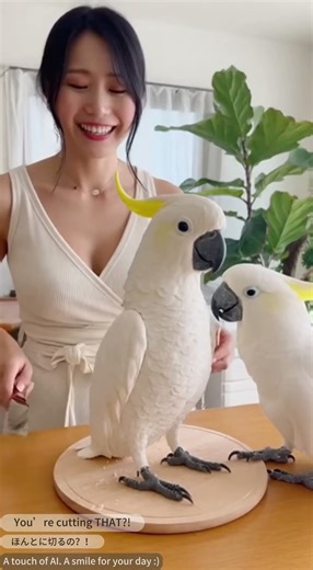 Hyper-real cake confuses real pet—thinks it’s another animal! EP.4😱🎂 #wow #viral #petcomedy