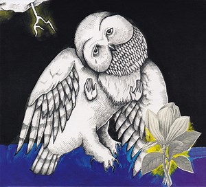 Songs: Ohia - The Magnolia Electric Co.