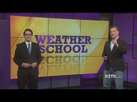 Weather School: what do the pollen counts mean?