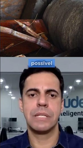 Depois de cortada, até quando posso servir a cana pro gado?