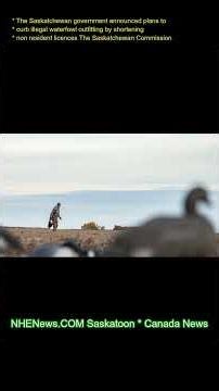 The Saskatchewan government announced plans to curb illegal waterfowl outfitting by shortening non-r