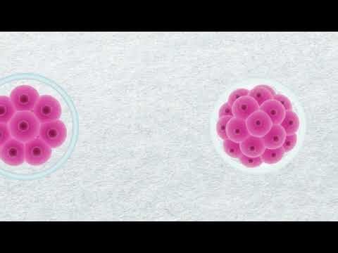 Stem Cells: Cards Against Humanity Science Ambassador Scholarship