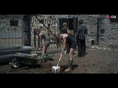 The Punishment (Daniel Calparsoro, 2008) [HD] | FlixOlé