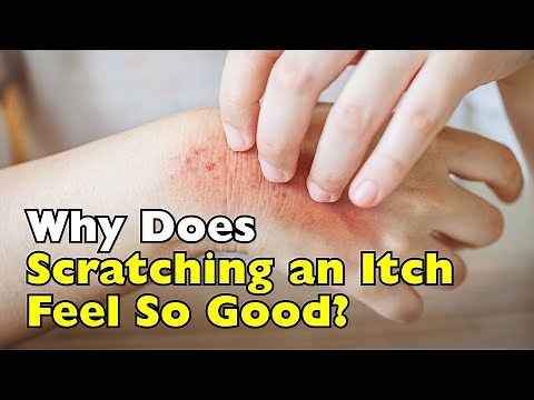 What Makes an Itch Feel ‘Itchy’? (And Why It Feels Good)