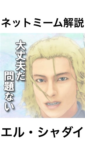 【ネットミーム解説】大丈夫だ問題ない#shorts