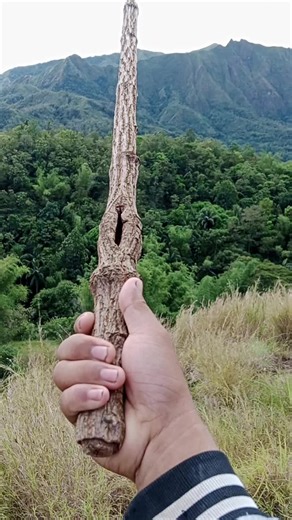 Discovering a Unique Sword Stick