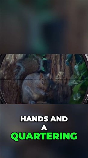 Chipmunk Pest Control. Does it get more humane?