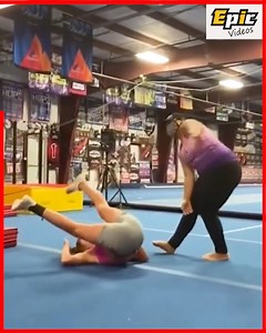 788K views · 5.4K reactions | Cheeky critters create cute chaos | Dennis James | Facebook