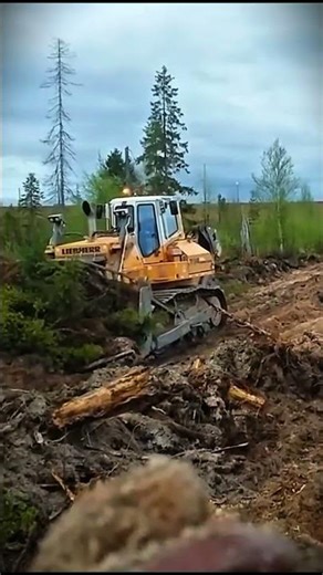 Liebherr Bulldozer on Natural Ground | Pure Control
