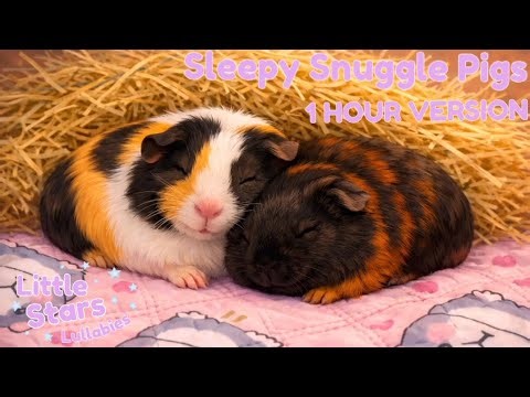 Sleepy Snuggle Pigs 🐹💤 | 1 Hour Snoozy Latin Instrumental Lullaby for Babies & Kids