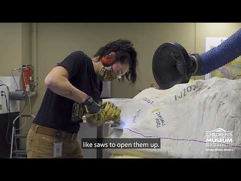 How to Move a Fossil | The Making of the New Dinosphere Exhibit