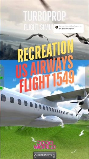 TFS : RECREATION US AIRWAYS FLIGHT 1549