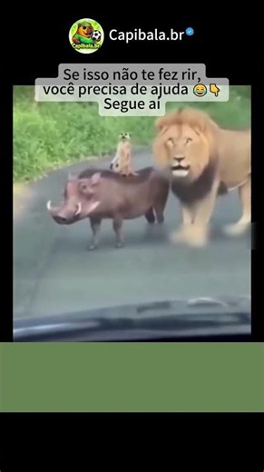 Se isso não te fez rir, você precisa de ajuda!