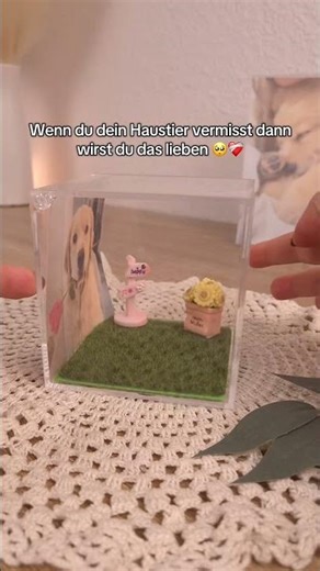 Was, wenn du ihn noch einmal sehen könntest… wie er sich bewegt? 🥺🐾 #Haustiere #Hund