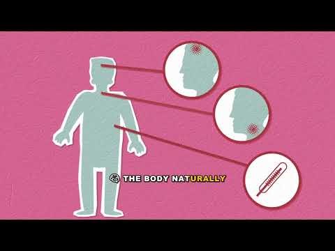 Does MSG Really Cause Brain Damage? Explained