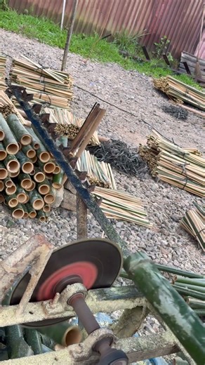 Bamboo toothpick factory . 44 . ##bamboo #factory #toothpick