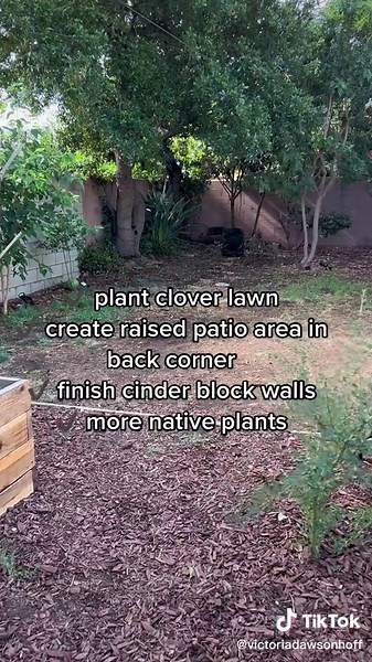 DIY Landscaping: Transforming My Backyard on a Budget