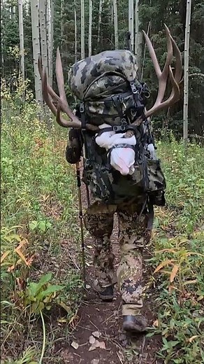 After 8 Days in the Backcountry, THIS Happened... (Big Buck Down!) #muledeer #hunting