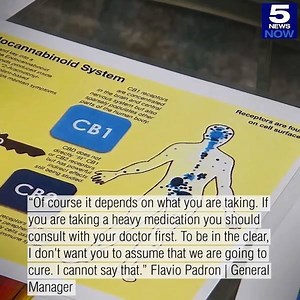 12K views · 60 reactions | The latest farm bill allows cannabidiol products (CBD) to be considered legal. FULL STORY: https://www.krgv.com/news/health-risks-of-cannabidiol-oil-products-explained | KRGV | Facebook
