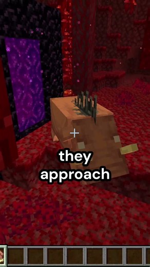 Minecraft Hoglins and Nether Portals Tip #shorts #minecraft