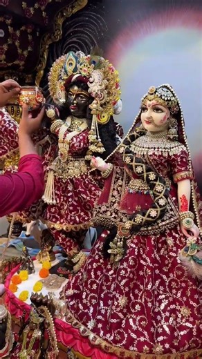 तु ही मोरा सजन ❤️🦋#virandavan#bankebihari#krishna#radhakrishna#shortsyoutube#krishnabhajan#fyp
