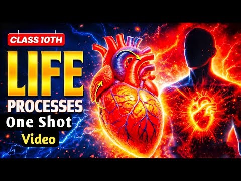 Class 10 Science Life Processes Full Chapter 🔥 | One Shot 2026