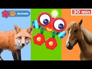 Toddlers Learn Animals with Robi | Educational Early Learning Videos | Animals Names & Sounds