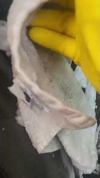 The easiest way to remove mold from your car interior. #cleanlook