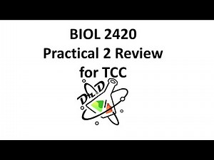 TCC2420Practical2Review