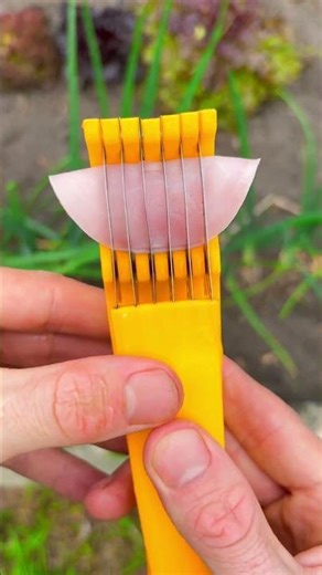 Can this slicer slice ham? 😋