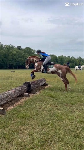Archer really slayed over this log and my eq slayed as well