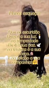 Alcimar Timaia on Reels