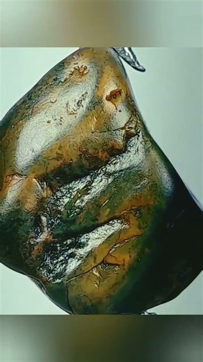 Pedra de jaspe esverdeada escura e amarelo #rocha e #Minérios #short #reels