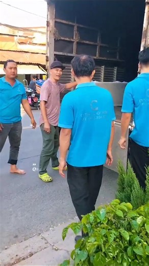 Ctrinh cuối tháng 11. Decol văn phòng quận 3 HCM. #chohoaonline #caytrongnha