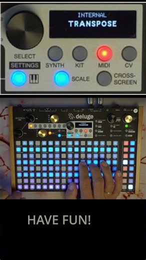Deluge Transpose Feature