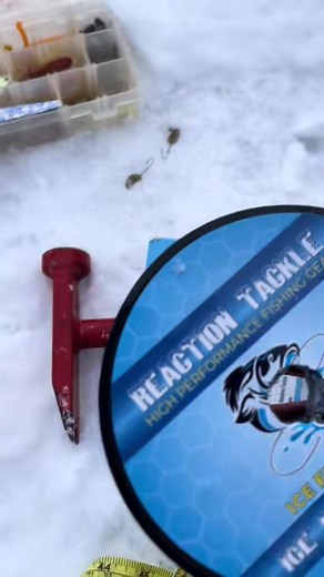 Beautiful Fish. Beautiful Fishing Line! - 7339719463501139243 . #reactiontackle #rta... #amazing | Idaho high country Fishing | Facebook