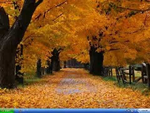 Do Not Stand At My Grave And Weep ( By Katherine Jenkins )