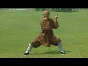 Shaolin Kung Fu Power Strategy – Xiao Pao Quan (Small Power Form) | Monk Shi Yong Xin