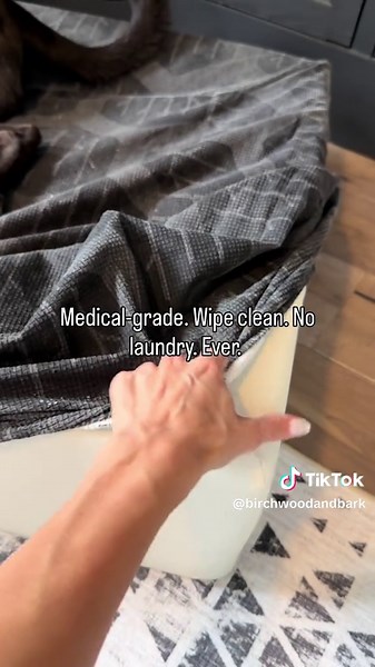 Revolutionizing Dog Beds for Ultimate Comfort