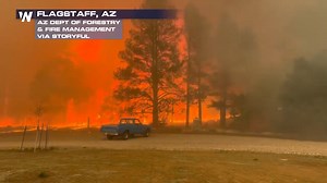 6.2K views · 229 reactions | The #TunnelFire erupted near Flagstaff, AZ earlier this week. It has now burned over 6000 acres. Take a look at this wild video of flames raging over the area burned by the Tunnel Fire. | WeatherNation | Facebook