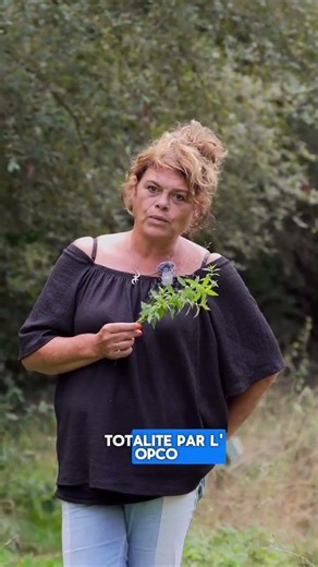 Les formations fleuristes ça coûte vraiment trop chère !🌷Vous le saviez ?🙂