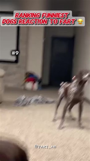 Funny Fart Moments Compilation